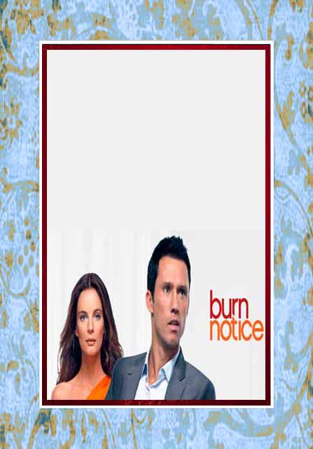 (image for) Burn Notice - Complete Series